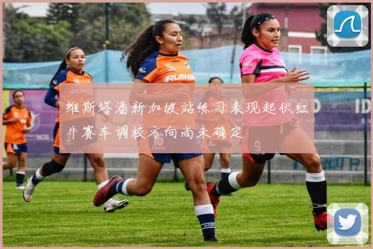 维斯塔潘新加坡站练习表现起伏红牛赛车调校方向尚未确定