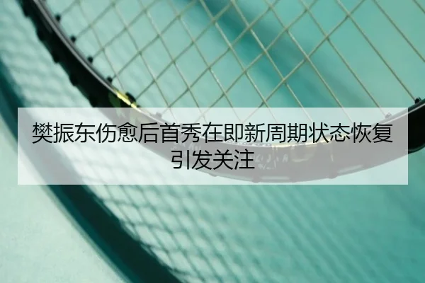 樊振东伤愈后首秀在即新周期状态恢复引发关注